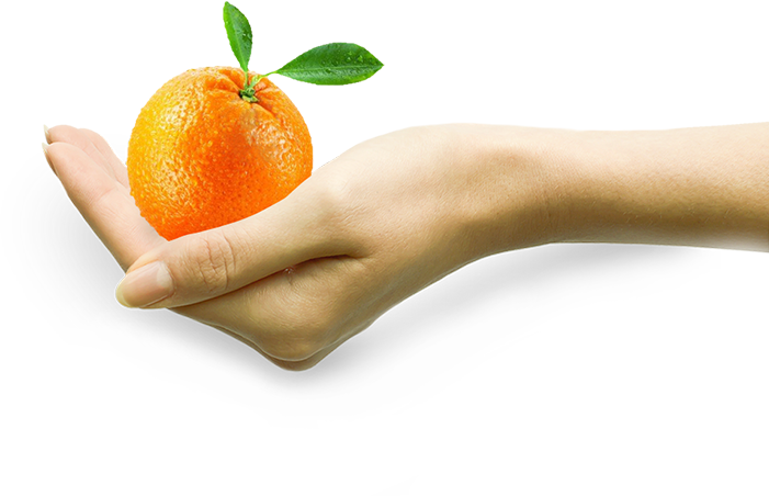 slide fruits combine into one - gresko